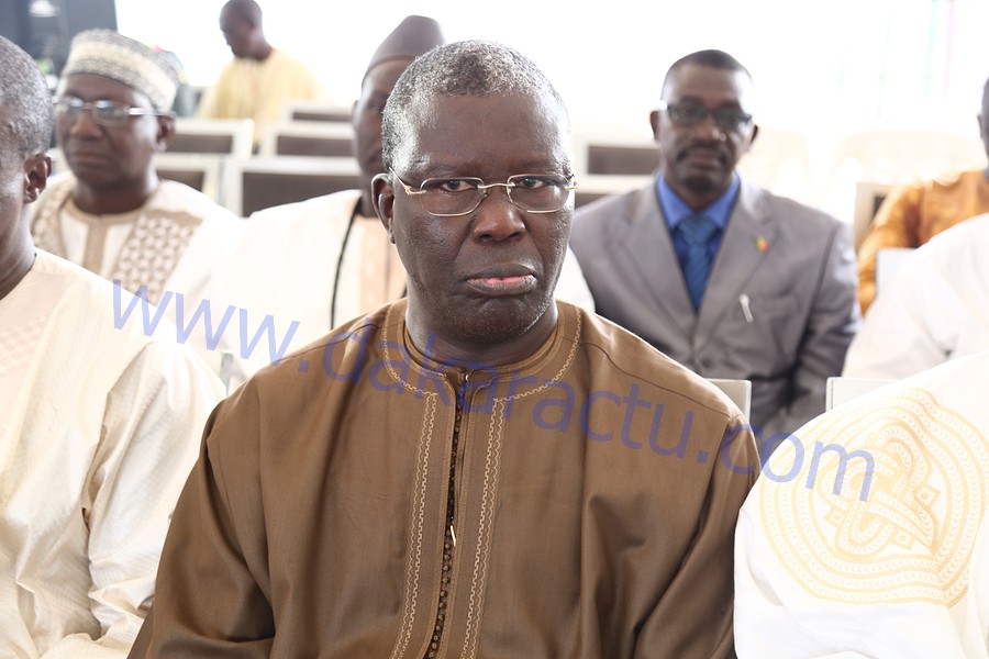Des responsables libéraux qui ont parrainé Madické Niang : Babacar Gaye confirme Mohamed Lamine Massaly