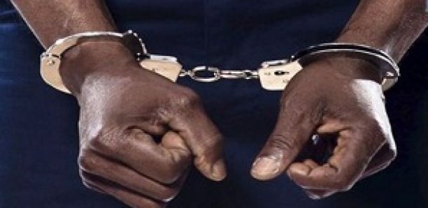 Louga : Un éleveur arrêté pour viol.