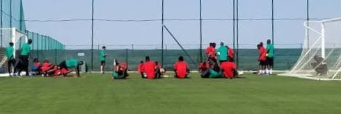 Alicante (Espagne) : Deux galops d’entraînement intenses pour les Lions ce dimanche, des séances vidéo en perspective