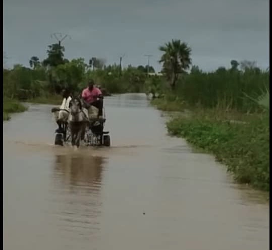 Nioro du Rip :  La route reliant Porokhane à Nioro est devenue impraticable...Les voitures et les charrettes font le contournement de Paoskoto pour transporter leurs clients à Porokhane