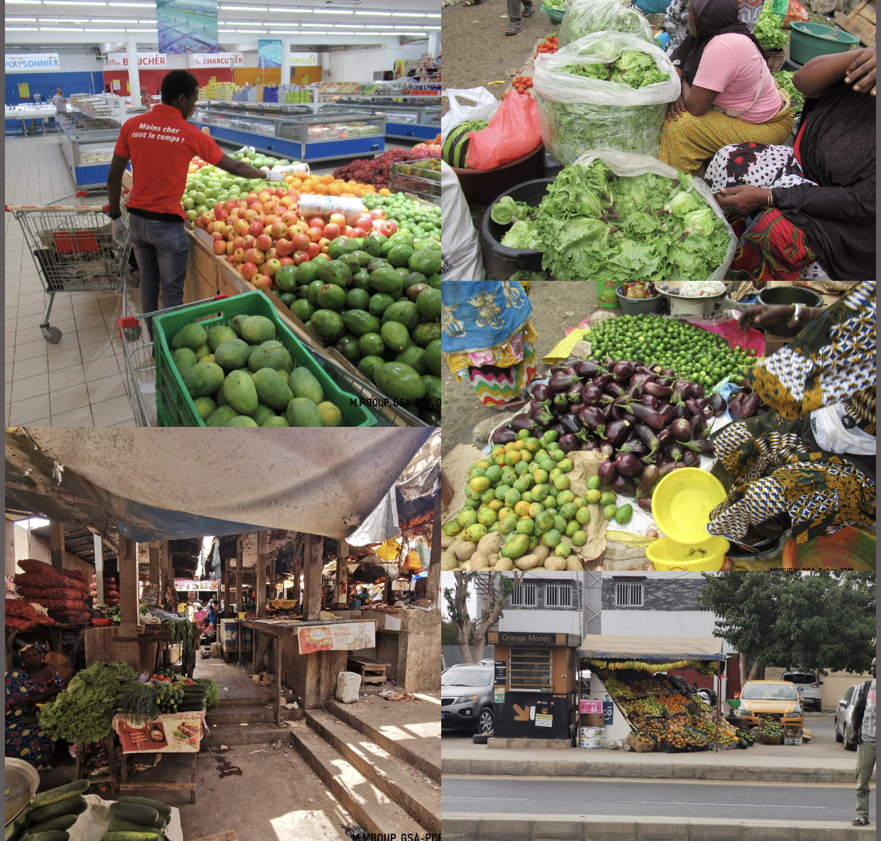 Implantation des grandes surfaces Française au Sénégal : Vers le déclin du petit commerce de proximité ?