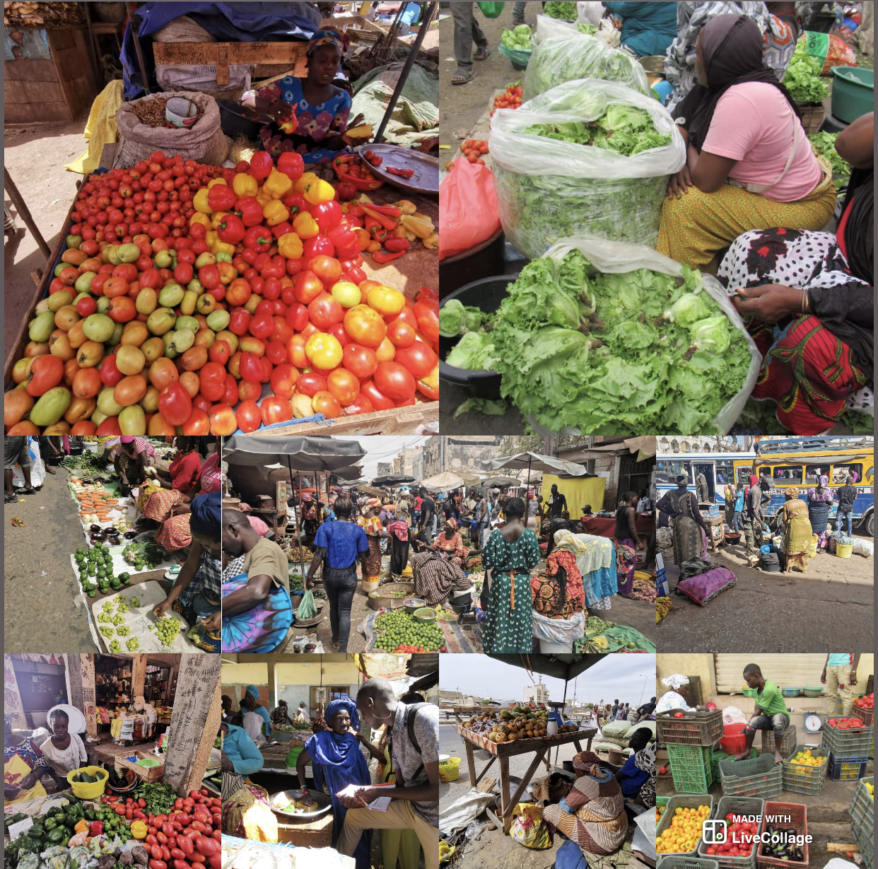 Environnement commercial : L’omniprésence des femmes dans les marchés de Dakar à l’aube des grandes surfaces alimentaires.