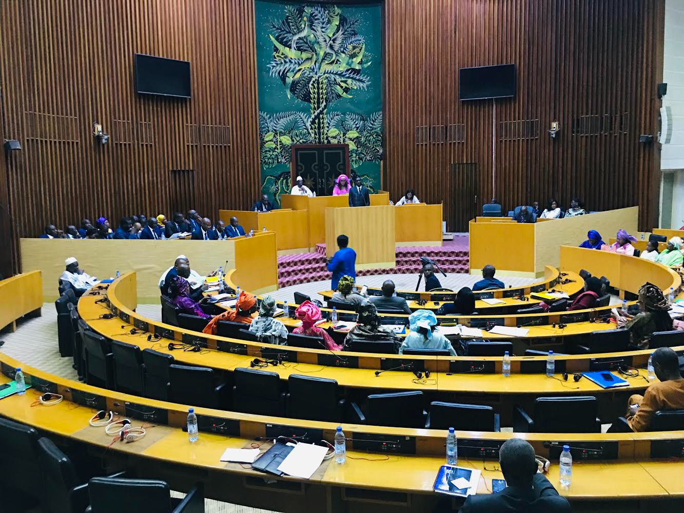 Assemblée nationale : Le député Mamadou Oury Baillo Diallo plaide pour la construction du tribunal départemental de Vélingara.