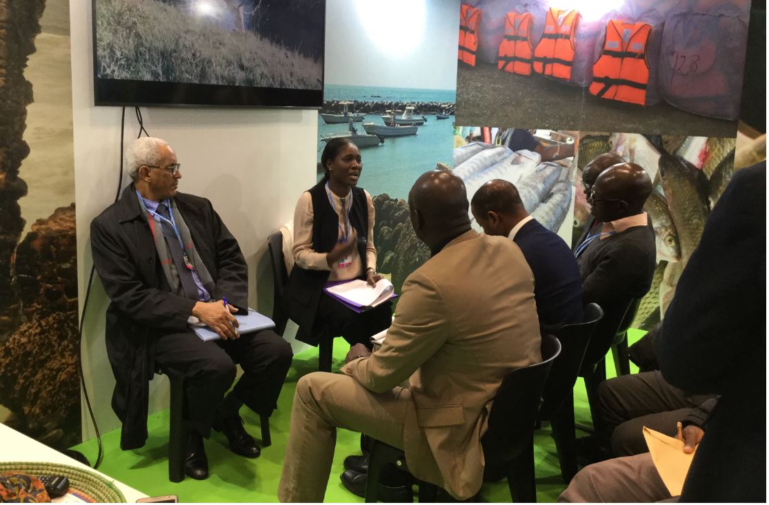 Négociations COP 25 – L’accompagnement de l’Ambassade en Espagne espéré par la délégation sénégalaise