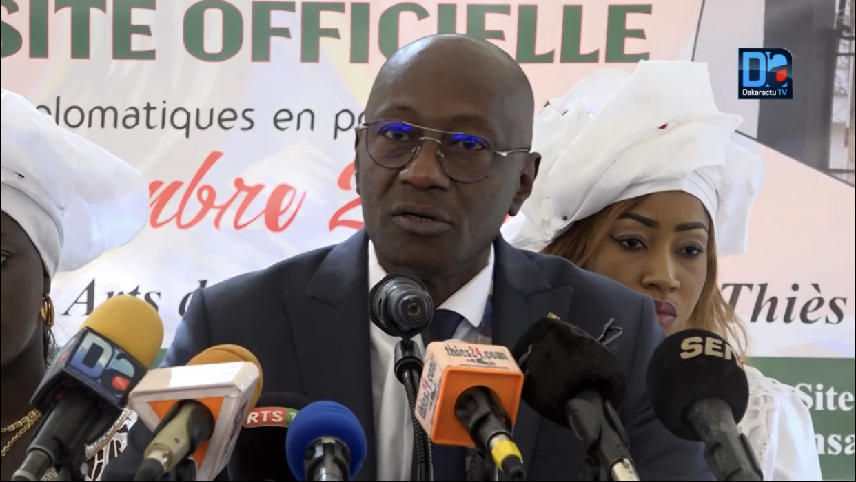 Histoire générale du Sénégal / Le ministre Abdoulaye Diop prend la défense de Iba Der Thiam : "Ils ont ont la légitimité d'écrire (...). On n'écrit pas l'histoire pour un individu..."