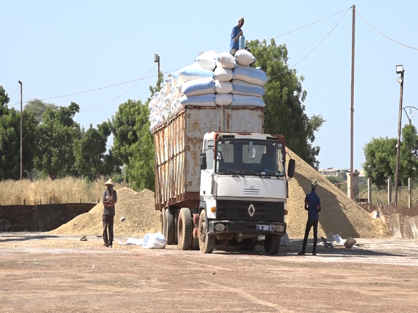 Commercialisation de l'arachide / Sonacos Kaolack : 06 camions réceptionnés depuis le début de la campagne (Images)