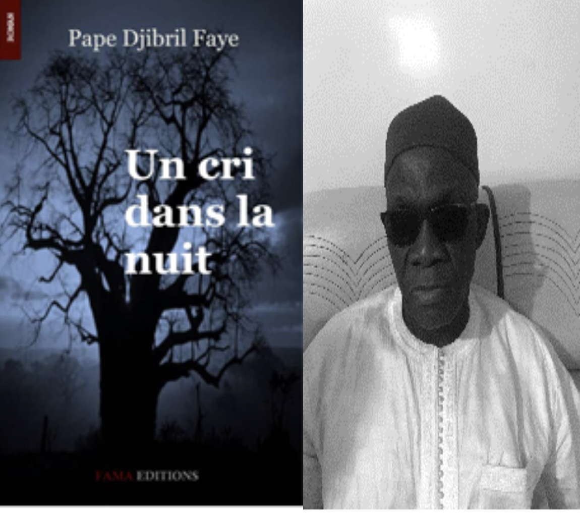 PRESENTATION DE LIVRE : L’inspecteur Djibril Faye lance « Un Cri dans la Nuit ».