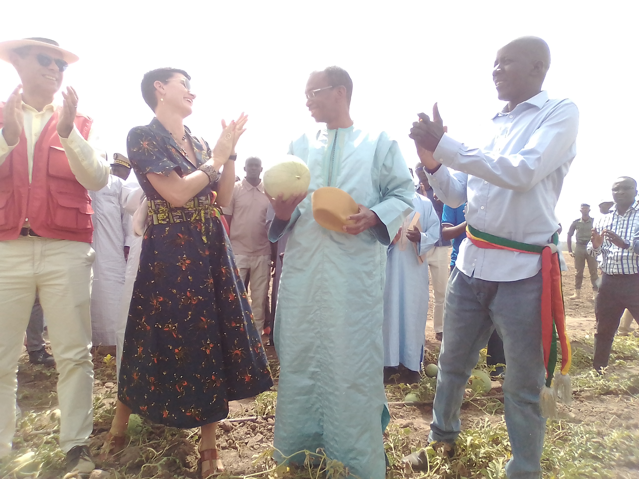 Lutte contre le chômage et l’émigration clandestine à Kolda : Les fermes « naatangué » comme début de solution…
