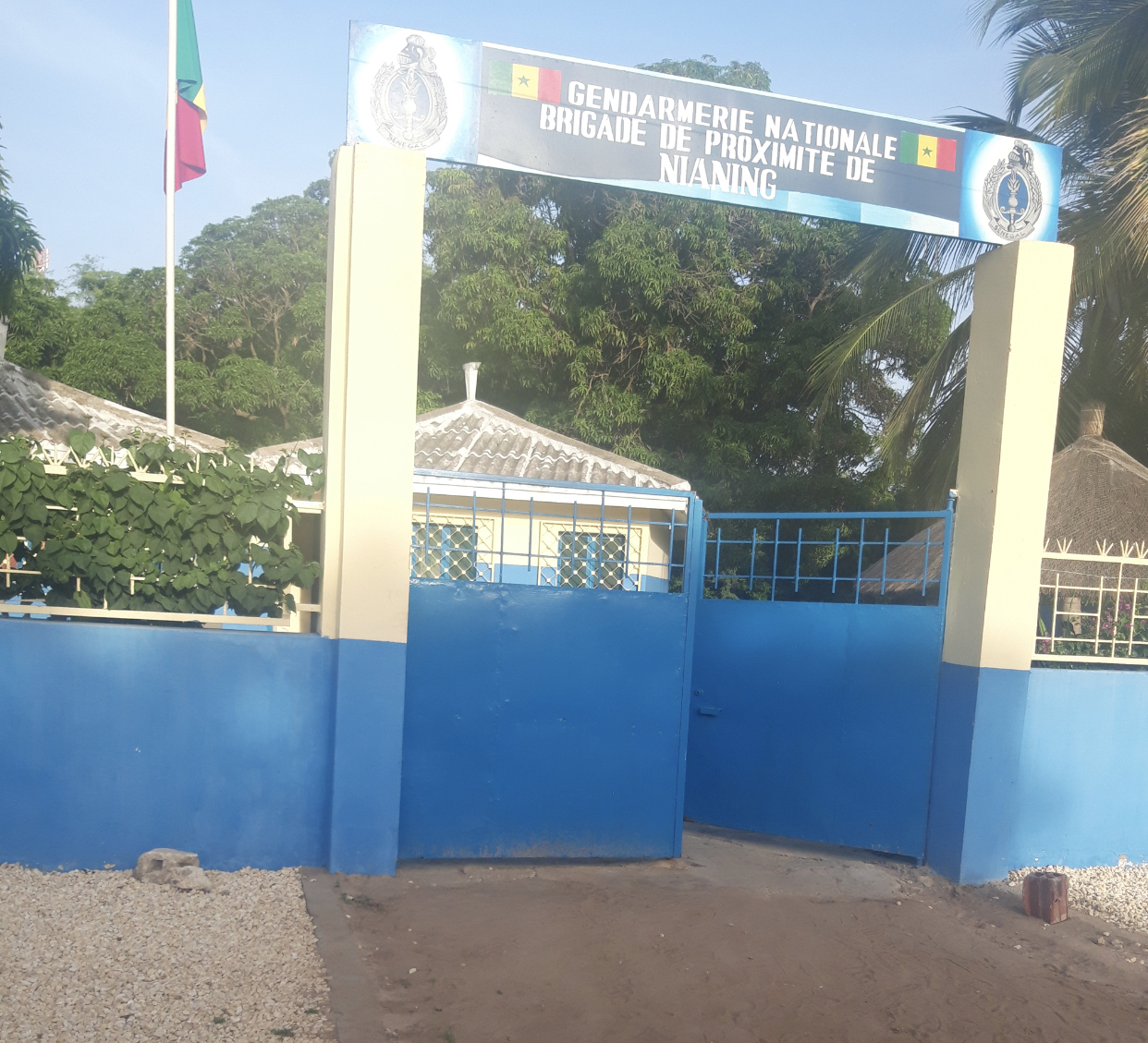 Mbour : La brigade de gendarmerie de Nianing fait une saisie de 150 kilos de chanvre indien.