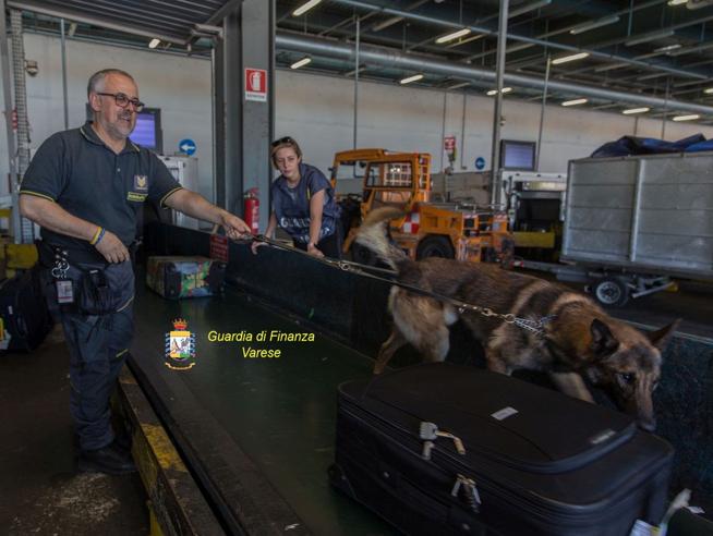 En provenance du Sénégal : Une portugaise arrêtée avec cinq kilos de cocaïne en Italie