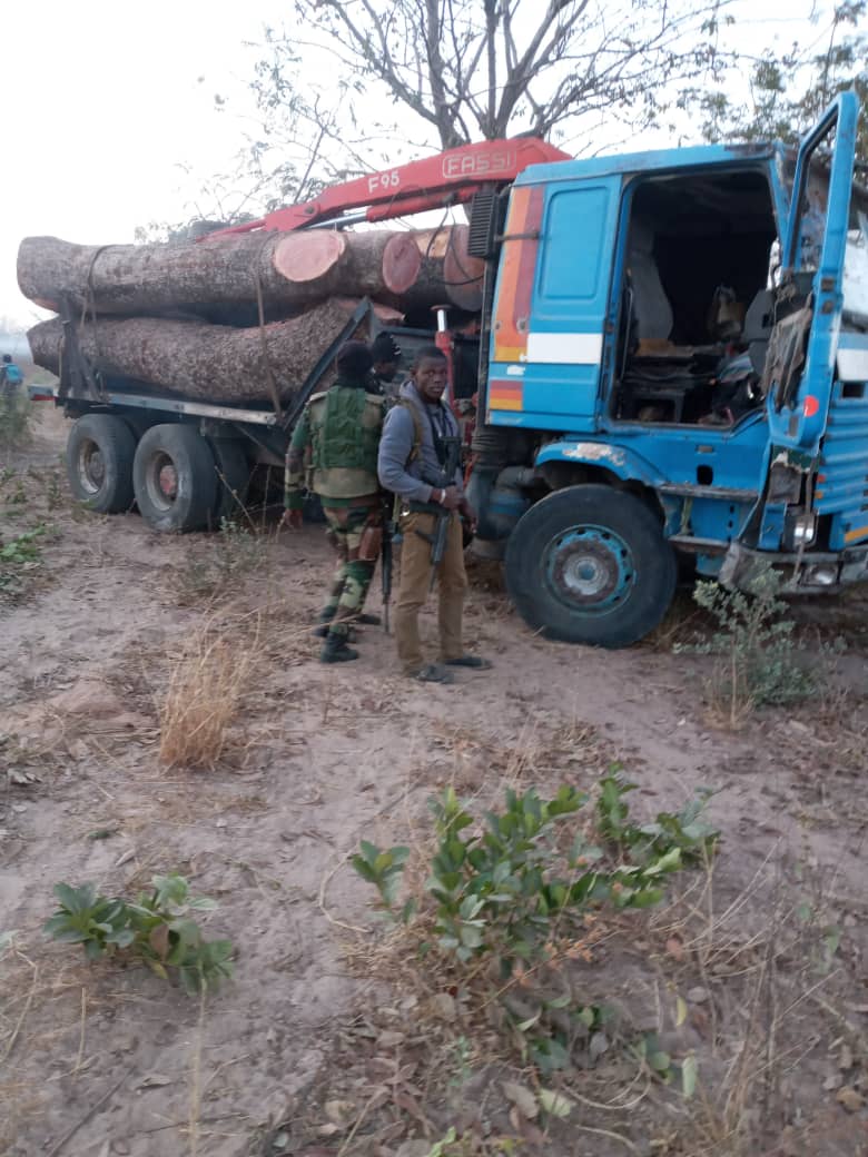 Trafic de bois : Deux camions Gambiens saisis à Sindian (Bignona)