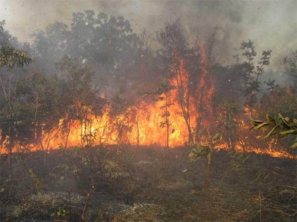 Un feu de brousse s’est déclaré à l’aéroport de Ziguinchor.