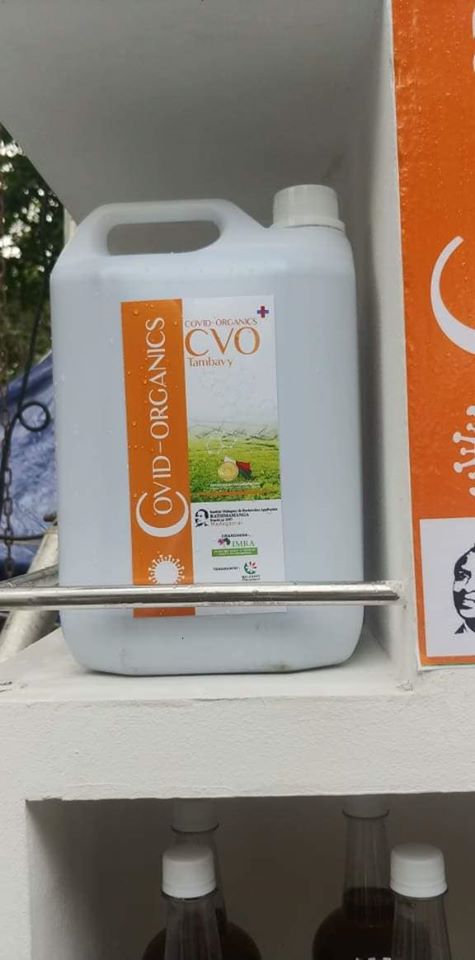 L'Artémisia, la tisane de Madagascar contre le COVID-19.