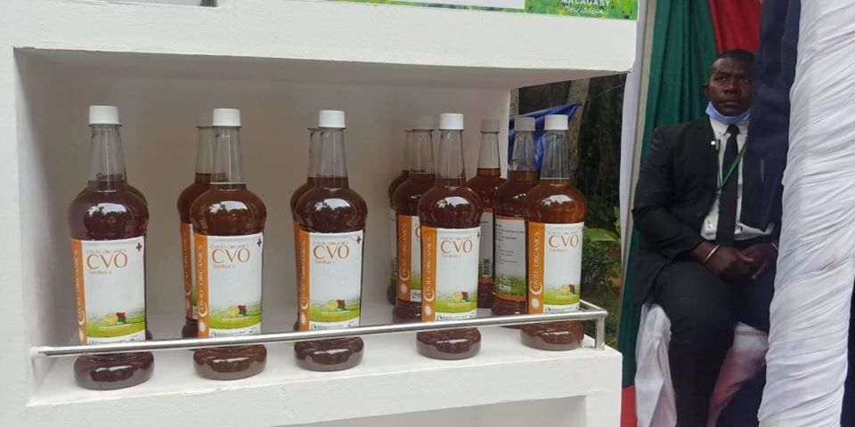 L'Artémisia, la tisane de Madagascar contre le COVID-19.