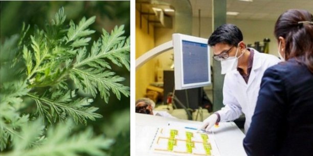 Lutte contre le COVID-19 : Les chiffres encourageants qui nous viennent de Madagascar.