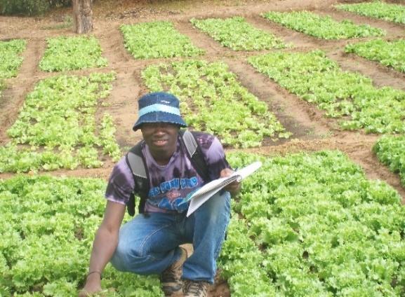La pandémie du COVID-19 : une légitimation de la promotion de l’agriculture urbaine (Par Dr Sidy TOUNKARA)