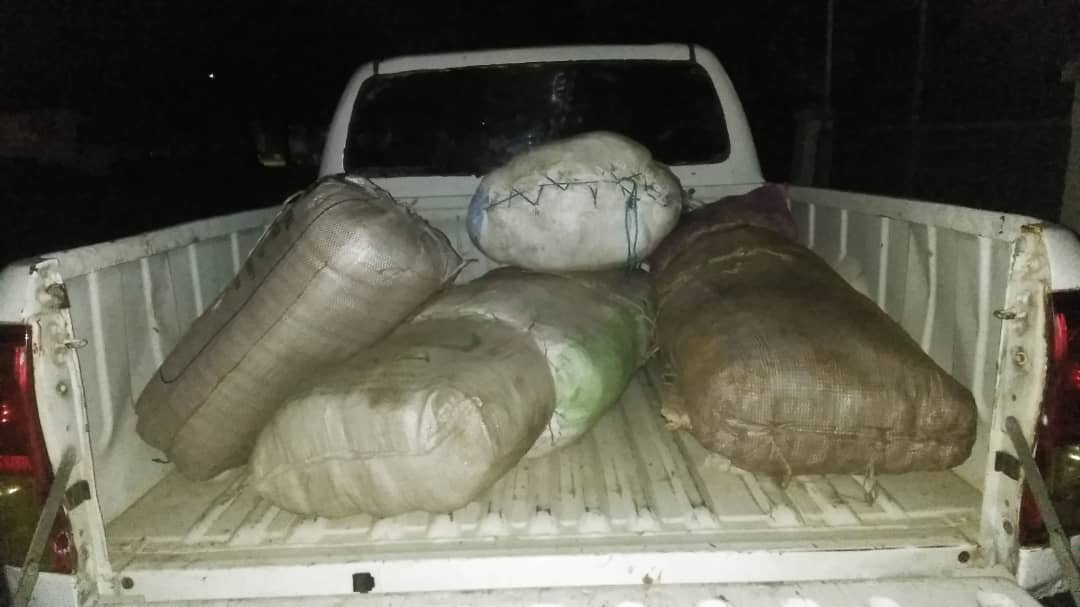 LUTTE CONTRE LE TRAFIC DE DROGUE : La Police saisit 147 kilogrammes de chanvre indien à Kaolack.