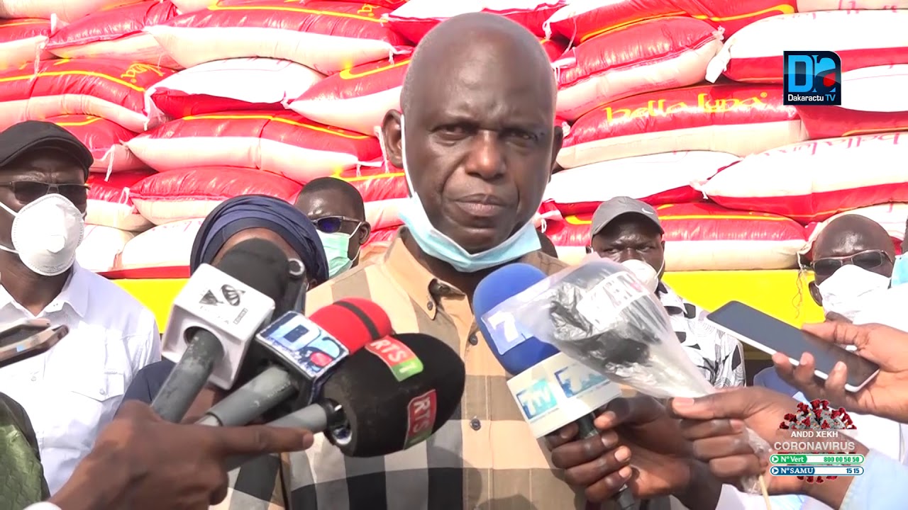Distribution de kits alimentaires : Mansour Faye à Kolda, Sédhiou et Ziguinchor à partir de ce lundi.