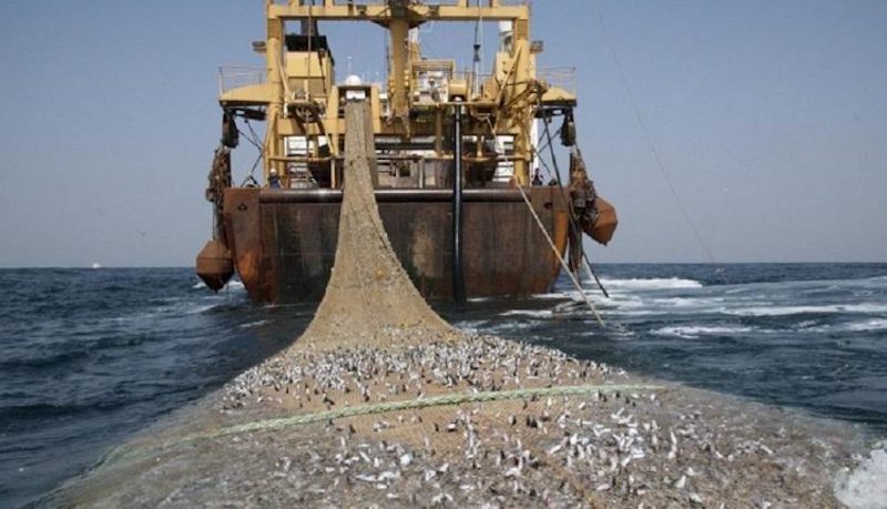 Coalition nationale contre l’octroi des licences de Pêche industrielle : Lettre ouverte à  Son Excellence Monsieur Macky SALL, Président de la République du Sénégal