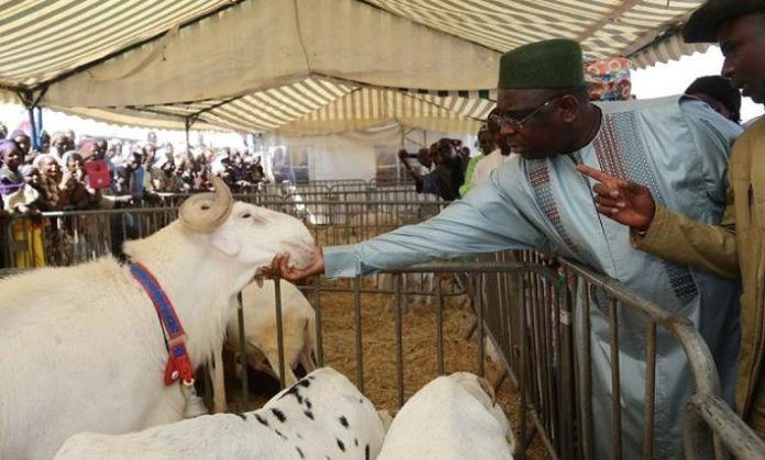 COVID-19 ET TABASKI : Le président Macky Sall veut un approvisionnement correct du pays en moutons.