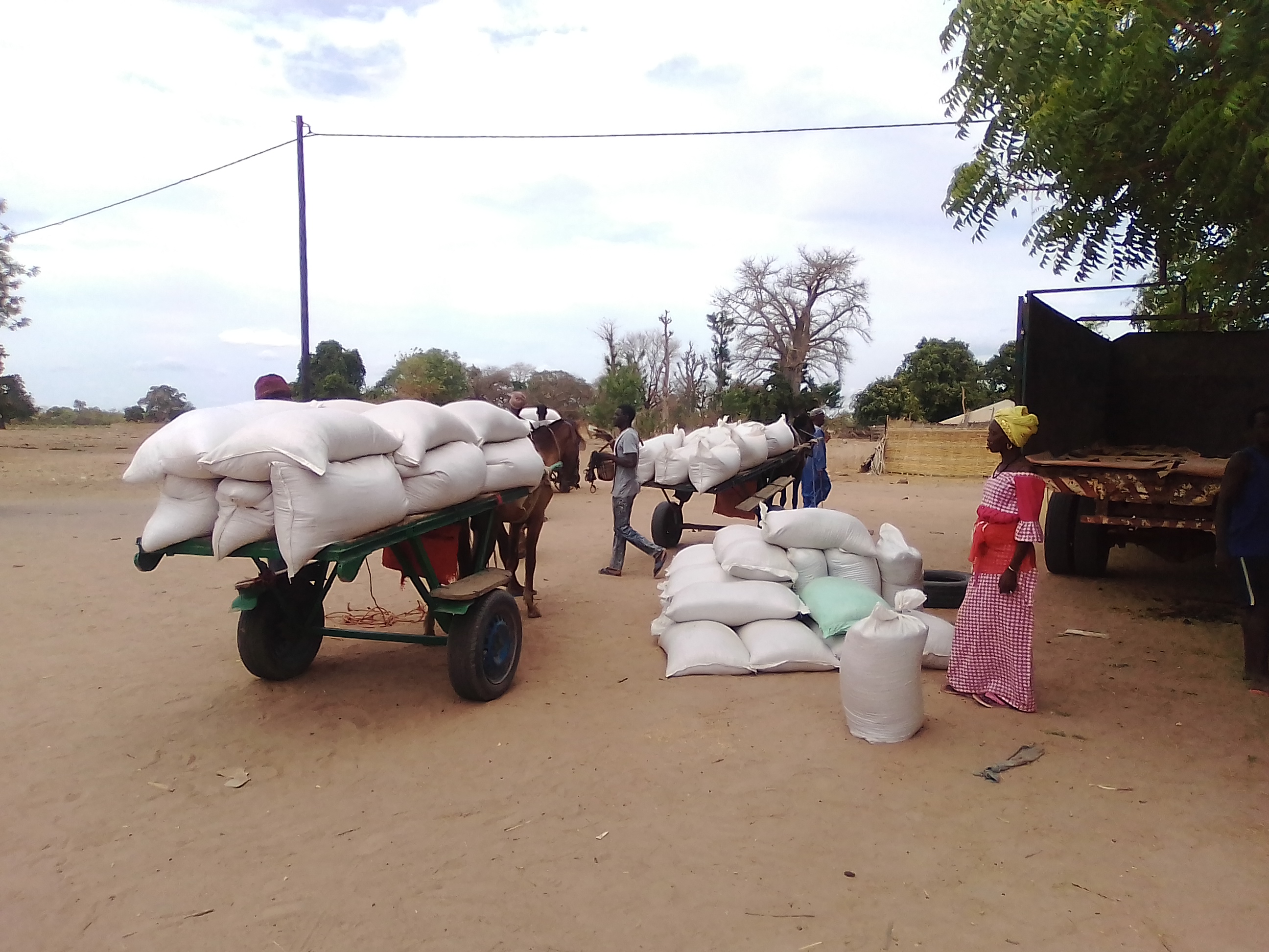 Brahim Mamadou Ba, Directeur régional du développement rural de Kolda ...