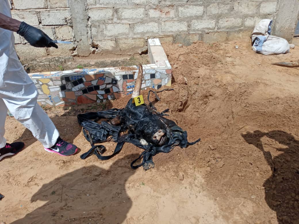 Kawtef : Une tête de bœuf enterrée au cimetière de Mbour Téfess