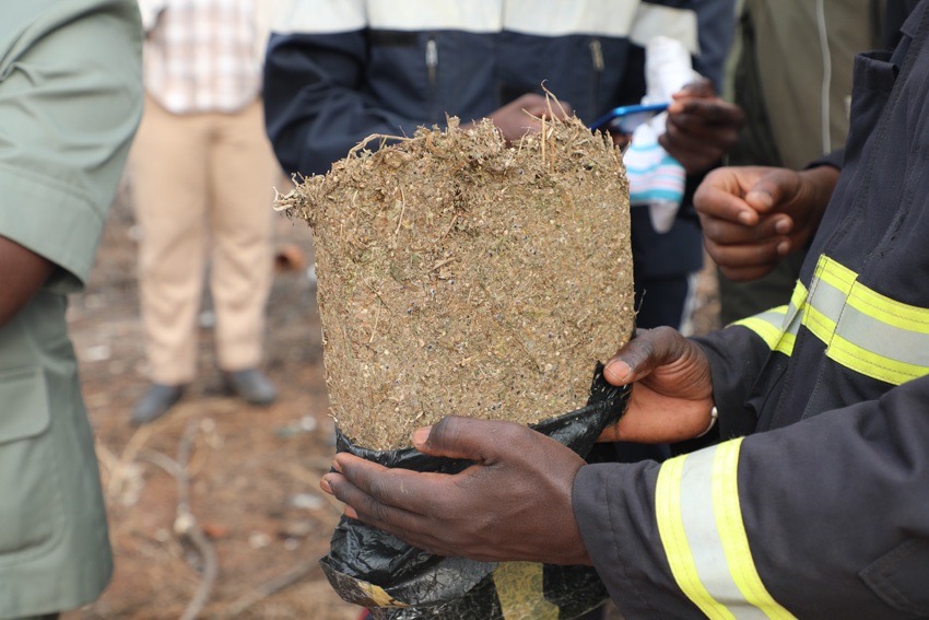 Axe Mbour-Nianing : 420kg de chanvre indien découverts par la Brigade régionale des stupéfiants (BRS)