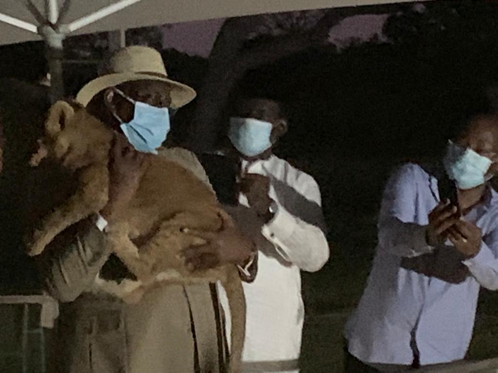 Fatala : Le président Macky Sall porte un lionceau sur ses épaules.