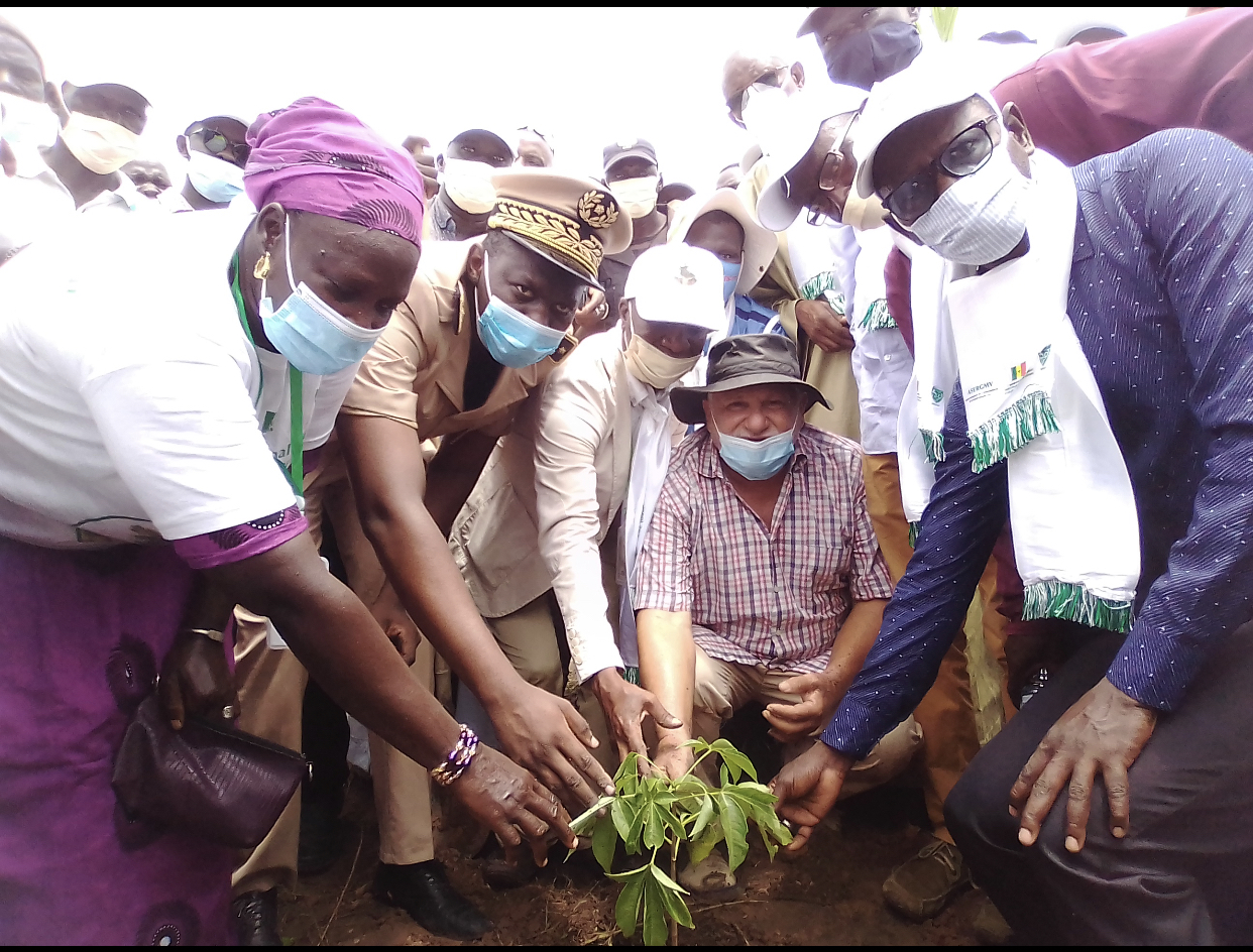 Fête du baobab / Ali Haïdar à Dialambéré : «…Nous allons organiser la foire de l’arbre où les individus s’échangeront des plantes »