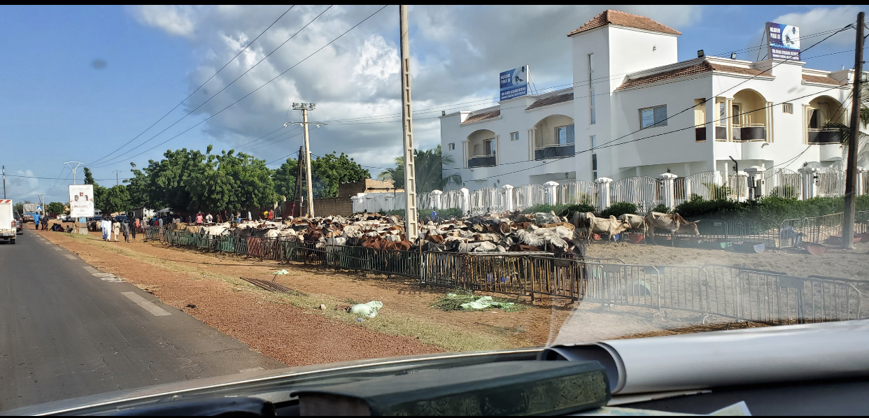 NGABOU / Sokhna Aïda Diallo disposée à s'accommoder des exigences du Khalife Général.