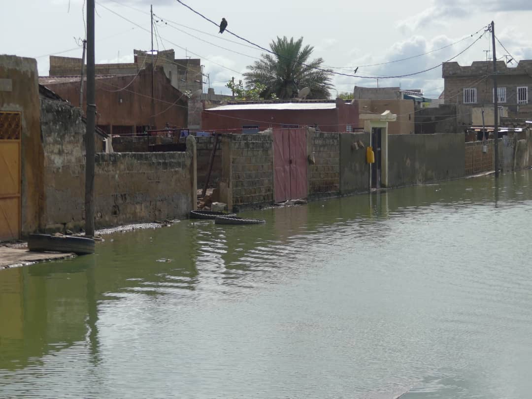Plan Orsec : Le collectif des cadres de Kolda exige la prise en charge de la région.