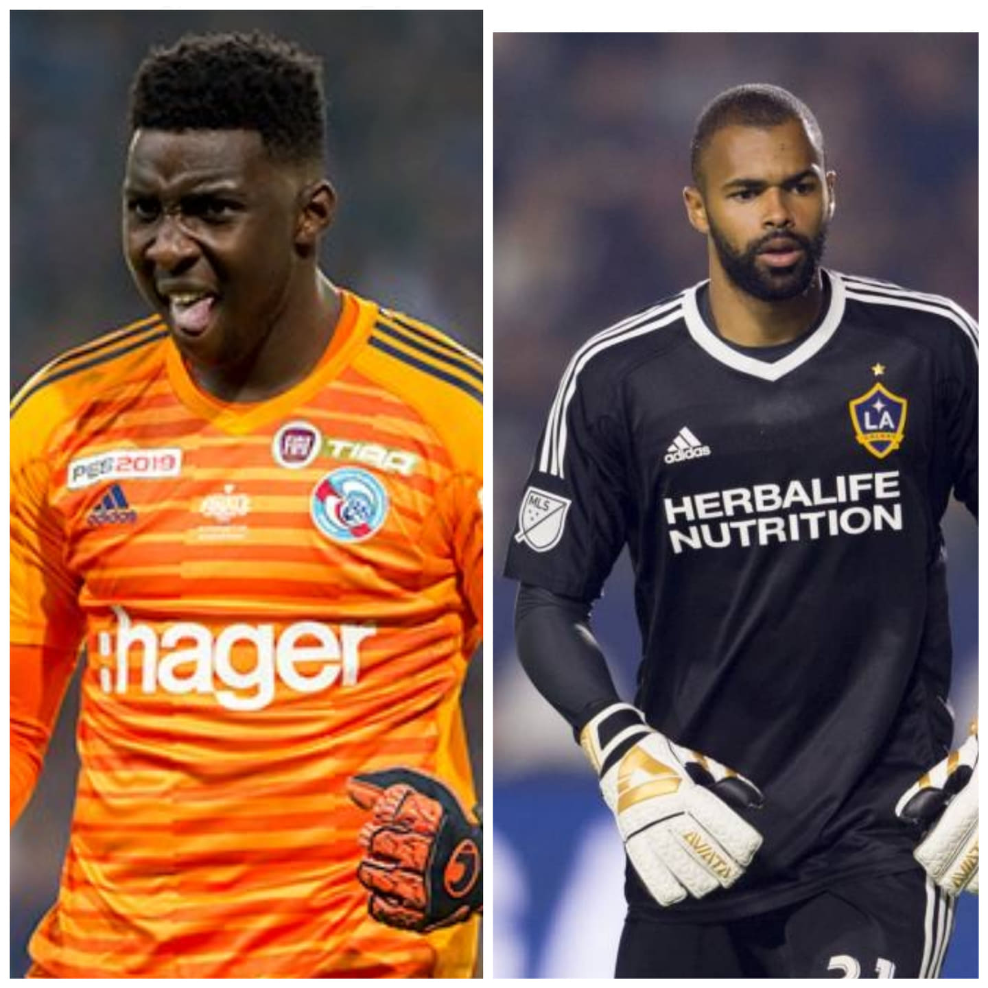 Convocation de Bingourou Kamara et Clément Diop : Qui sont les nouveaux gardiens de la « Tanière » ?