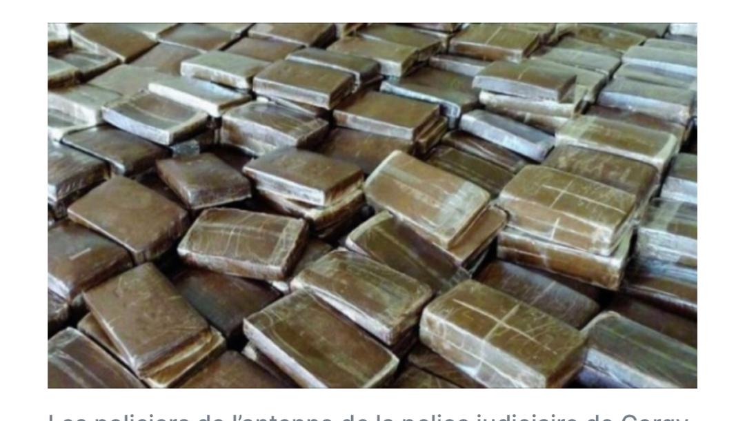 TRAFIC INTERNATIONAL DE DROGUES : La Douane saisit 1376 kg de chanvre indien à Kidira.