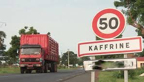 Kaffrine : Un camion traverse un troupeau de plus de 200 bœufs et en tue une vingtaine.