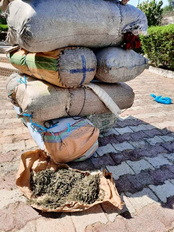 Kaolack-Fatick : La gendarmerie intercepte 263 kg de chanvre indien débarqués au quai de Sibassor à destination de Fissel.