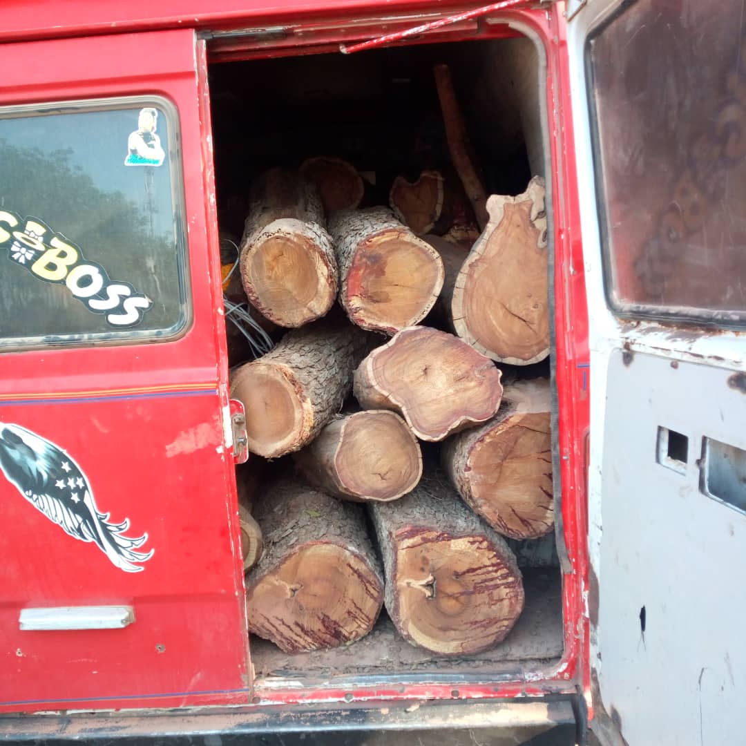 Opération de police forestière : 350 troncs saisis et 3 personnes arretées dans la zone de Dianké Makkah