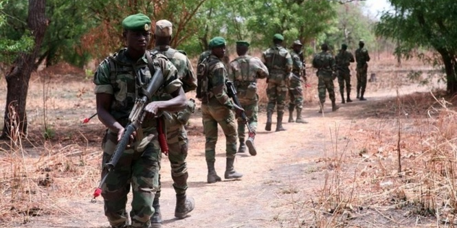 Diouloulou : L’armée a détruit des champs de yamba et arrêté trois individus.