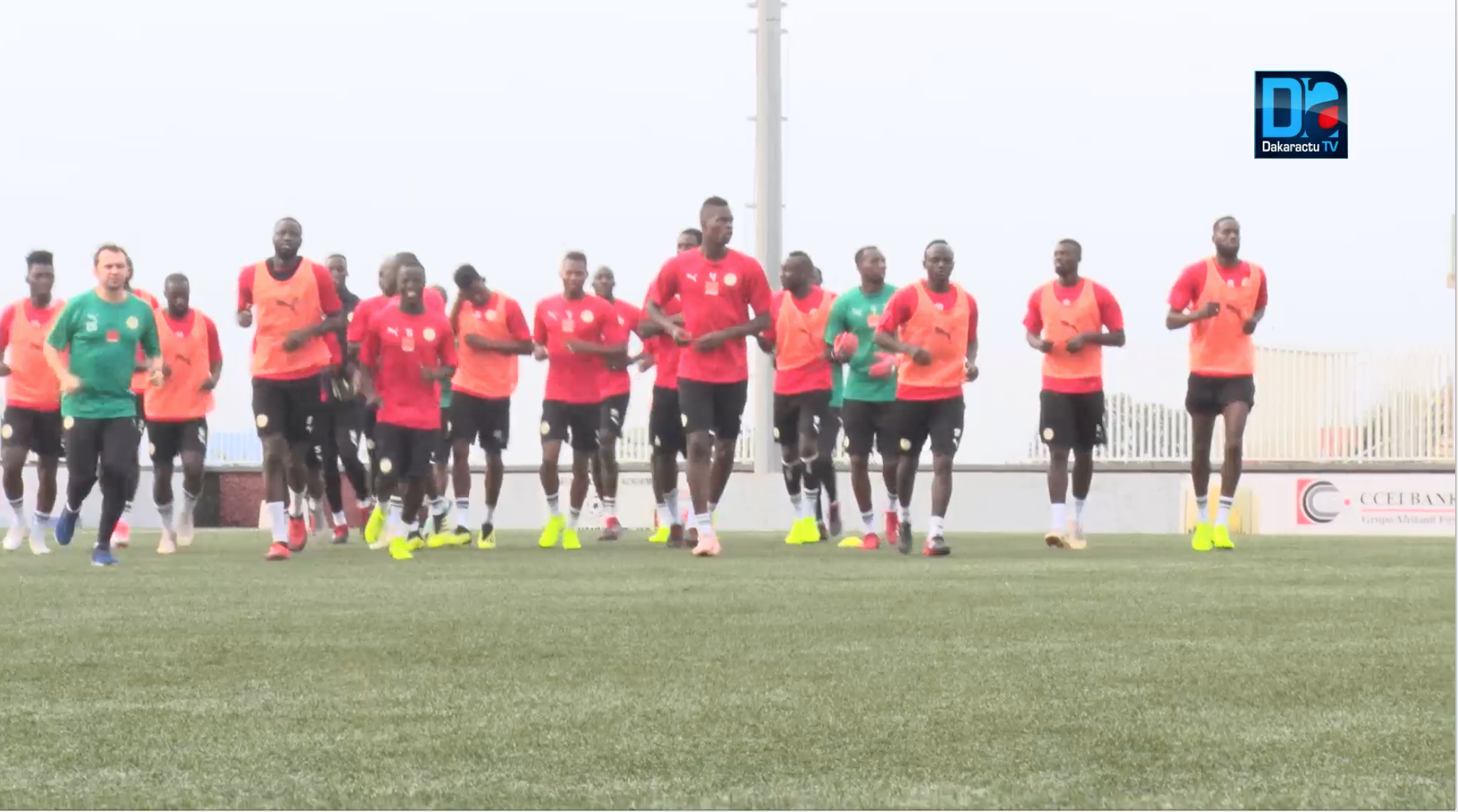 Éliminatoires CAN 2022 : Les lions en regroupement à Paris à partir du 22 mars avant de rejoindre Brazzaville.