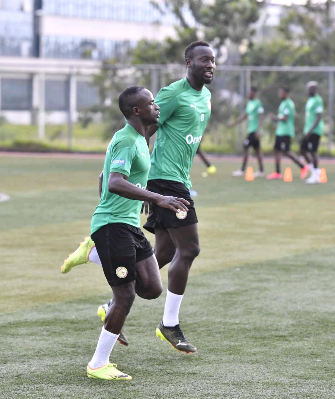 Éliminatoires CAN 2022 : Deuxième galop d’entrainement des Lions à Brazzaville, le groupe au complet… (Photos)