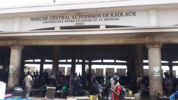 Visite au marché au poisson de Kaolack : Les nombreuses doléances qui attendent le ministre Alioune Ndoye.