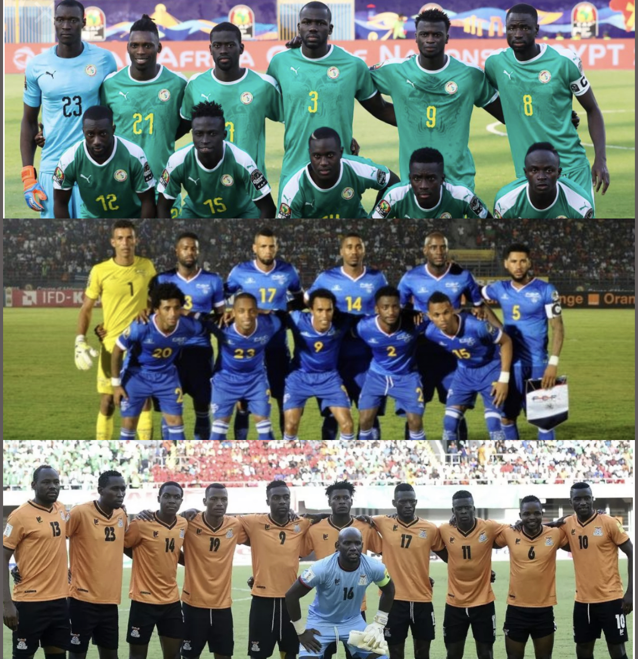 Football / Matchs amicaux : Les Lions affronteront la Zambie puis le Cap-Vert au mois de juin prochain.