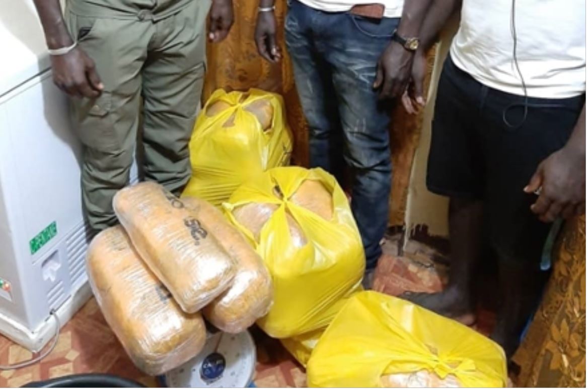 Agnams : Saisie sur un bus de transport, de cent (100) kilogrammes de chanvre indien