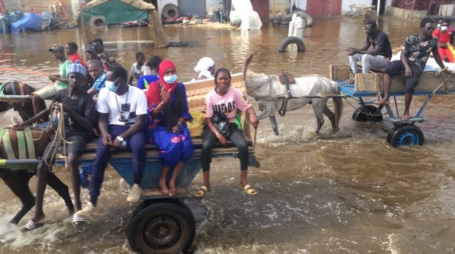 Inondations : Les populations de Diamaguène Diacksao crient leur désarroi et invite l'État trouver la solution