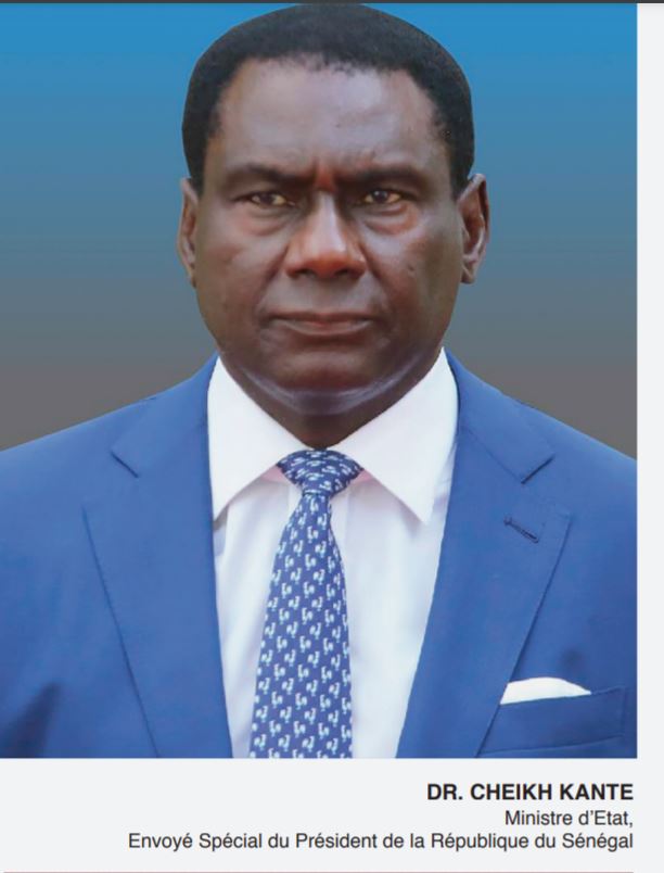 Economie Sociale et Solidaire et la Responsabilité Sociétale d’Entreprise : LA PERSPECTIVE AFRICAINE