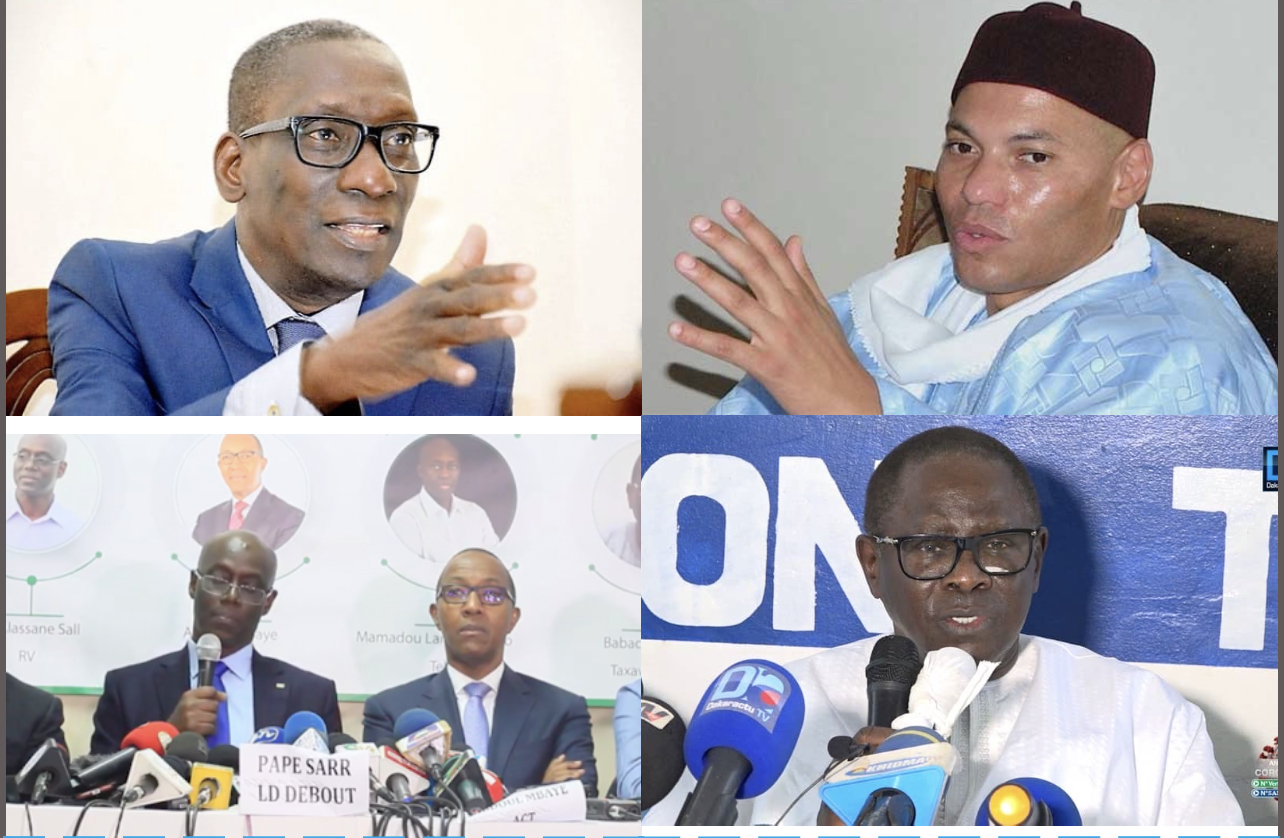 Investitures des candidats aux locales : La coalition Wallu Sénégal mise sur les Comités de pilotage départementaux et communaux