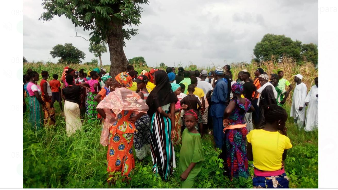 Octroi des 1000 ha de Pakour - les activistes en ordre de bataille, les vérités du maire et des proches du promoteur.
