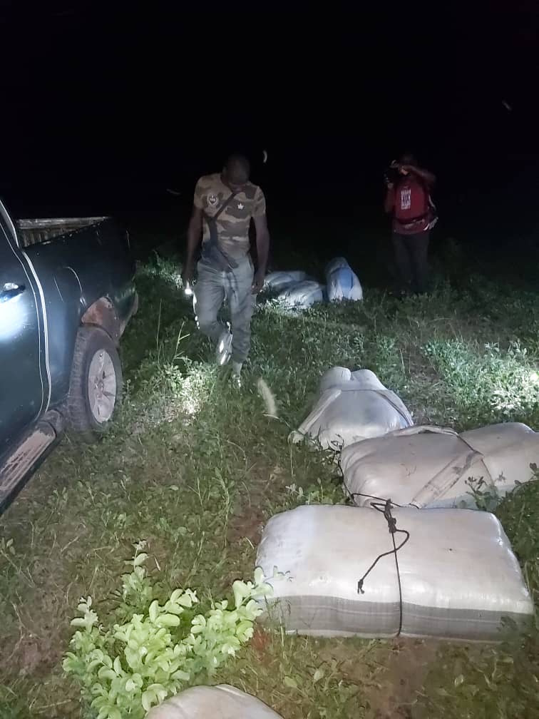 Douane : importante saisie de chanvre indien à Kaolack.