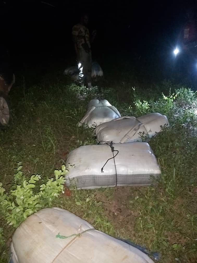 Douane : importante saisie de chanvre indien à Kaolack.