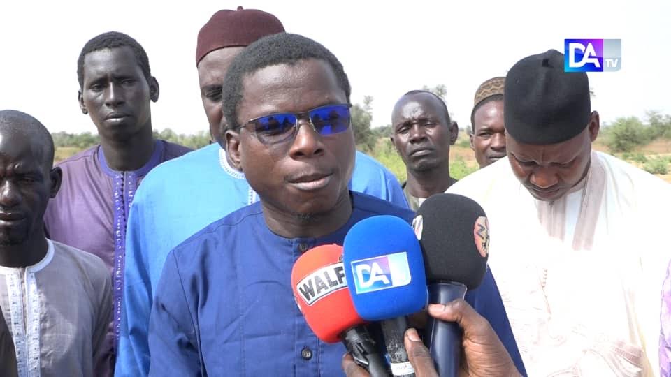 SADIO - Les criquets ont dévasté les champs … tous les champs.