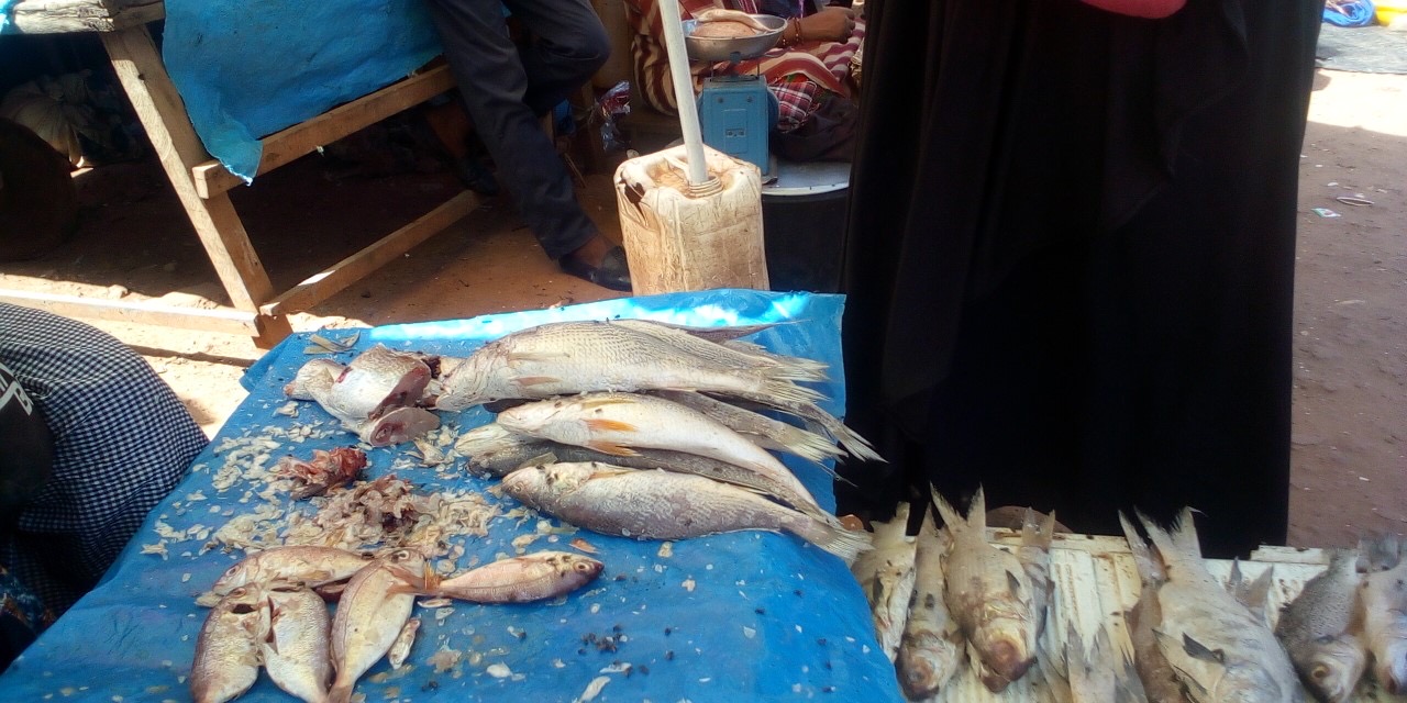 Grève des transporteurs à Kolda : manque de poisson, les jakartamen se frottent les mains, le poisson fumé à l’honneur des repas…